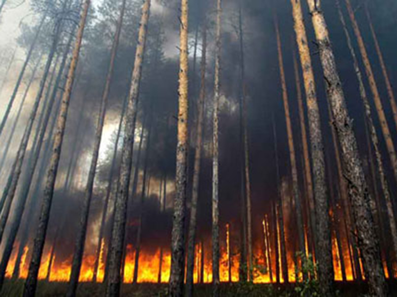 "Giải cứu" thơ- V&agrave;i b&agrave;i thơ cần "giải cứu"